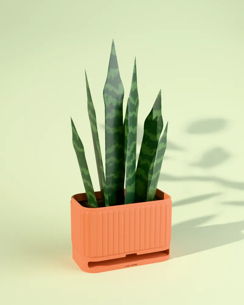 The Greenhouse in Clay